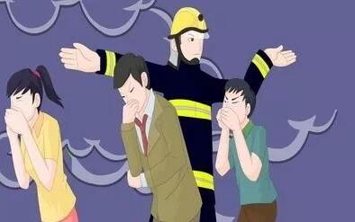 1545094702623377.jpg 3.jpg