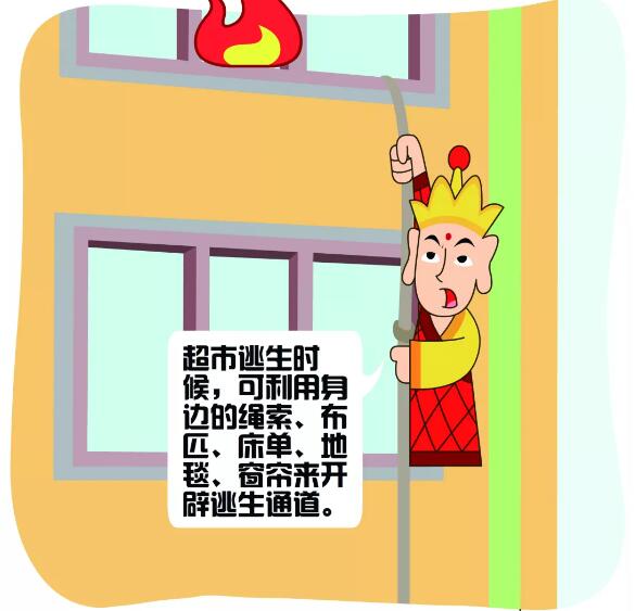 1545094772986503.jpg 5.jpg