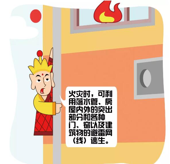 1545094787798531.jpg 6.jpg